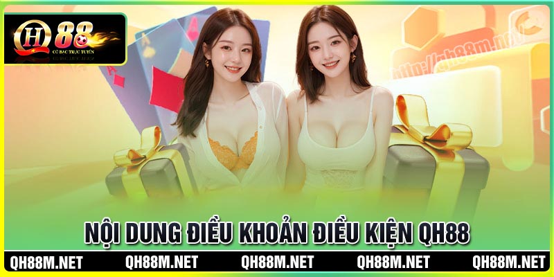 Nội dung chính sách điều khoản và điều kiện QH88