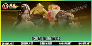 thuat-ngu-da-ga-thumb