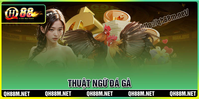 thuat-ngu-da-ga-thumb