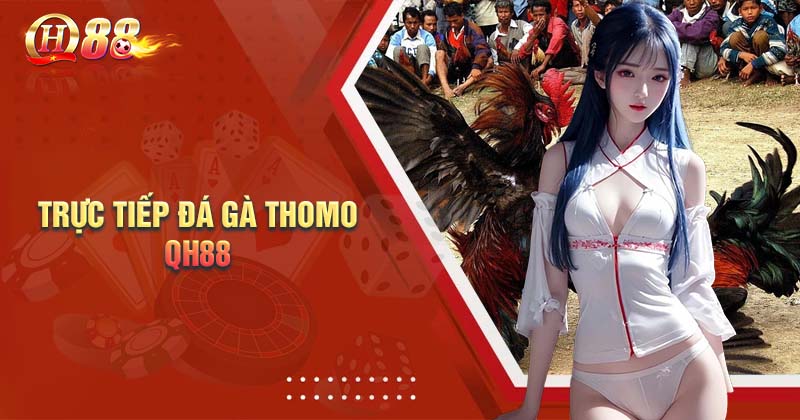 Những ưu điểm mà trực tiếp đá gà Thomo QH88 đem đến cho hội viên